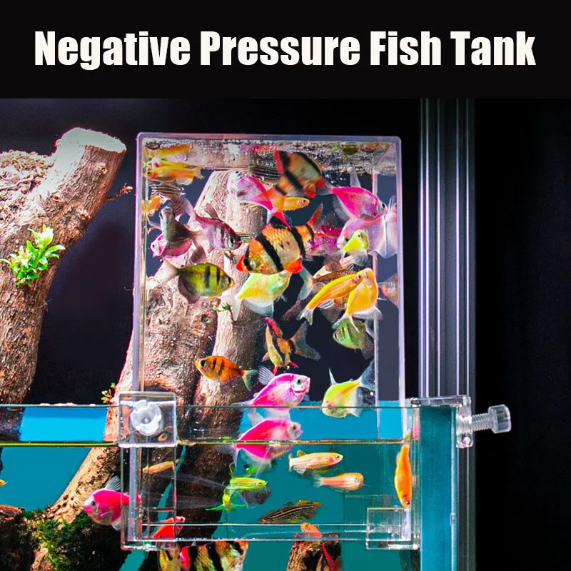 Creative Aquarium Tanks Negati - Aquarium Fish Jar ulasan dan harga
