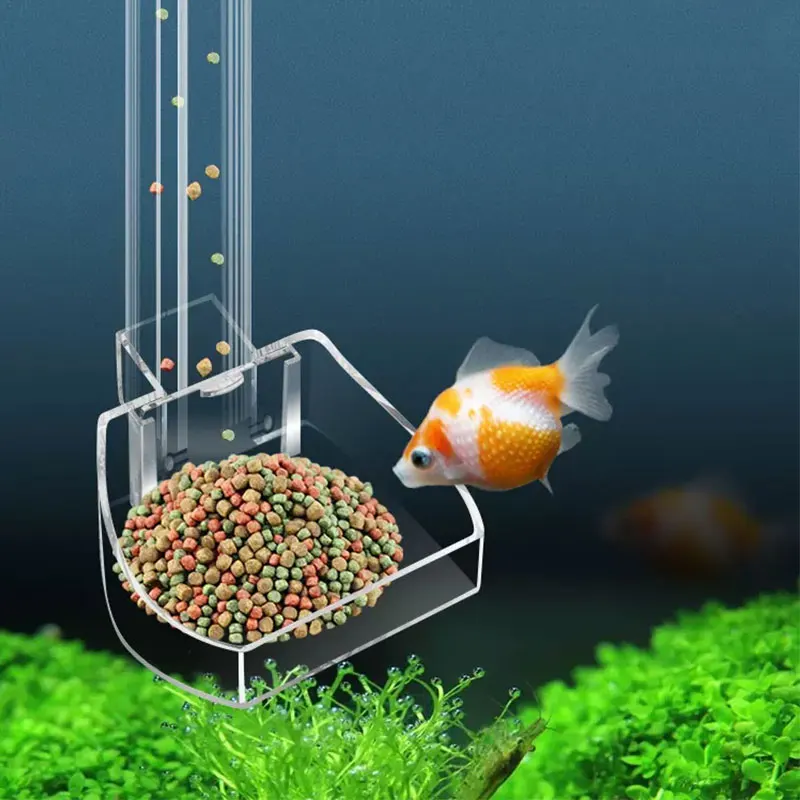 Aquarium Acrylic Feeding tube  - Aquarium Fish Variety ulasan dan harga