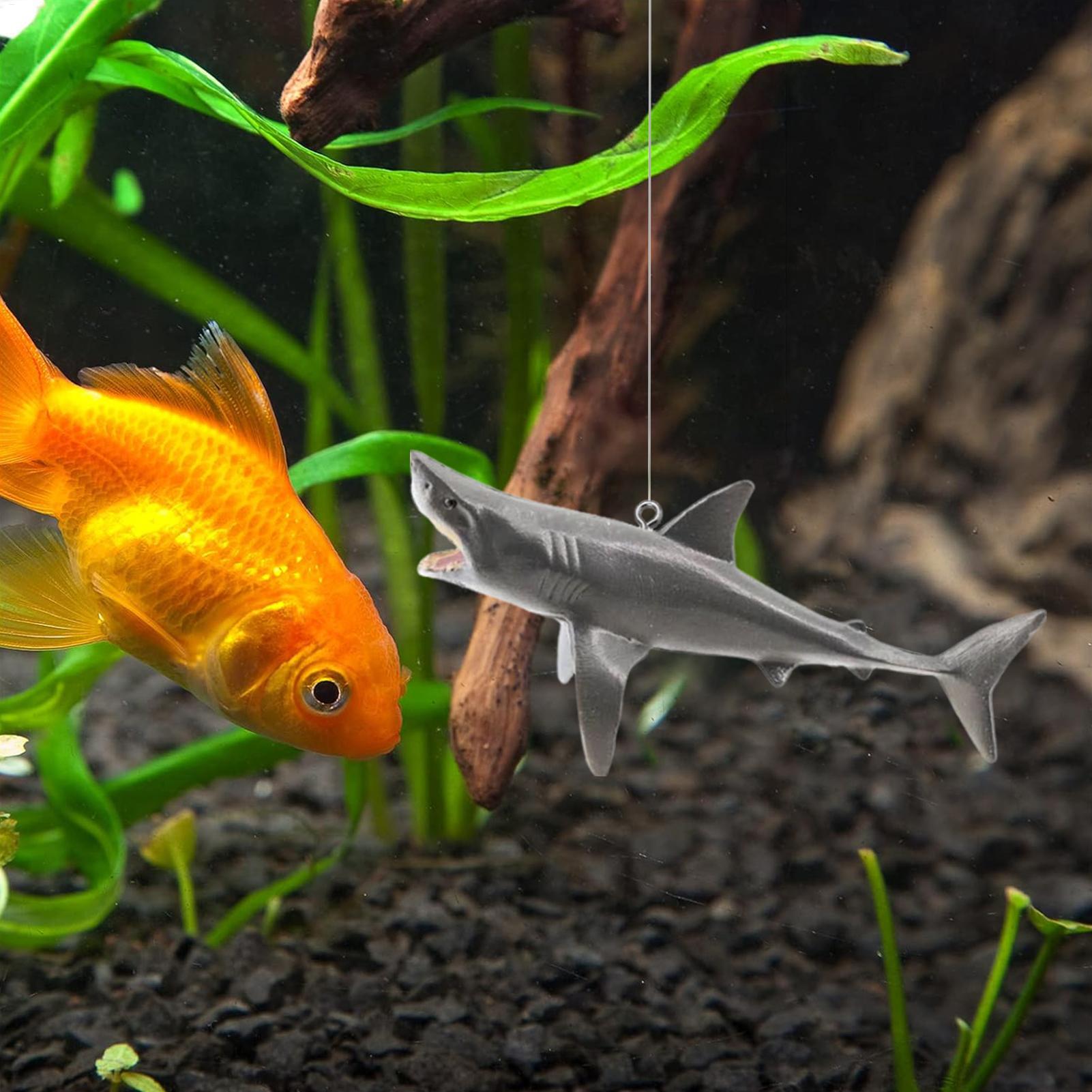 Floating Shark Aquarium Landsc - Aquarium Fish Games ulasan dan harga