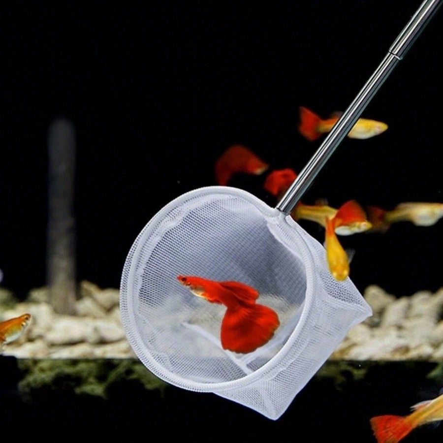 Aquarium Fish Net - a Retracta - Fish Net Handle ulasan dan harga