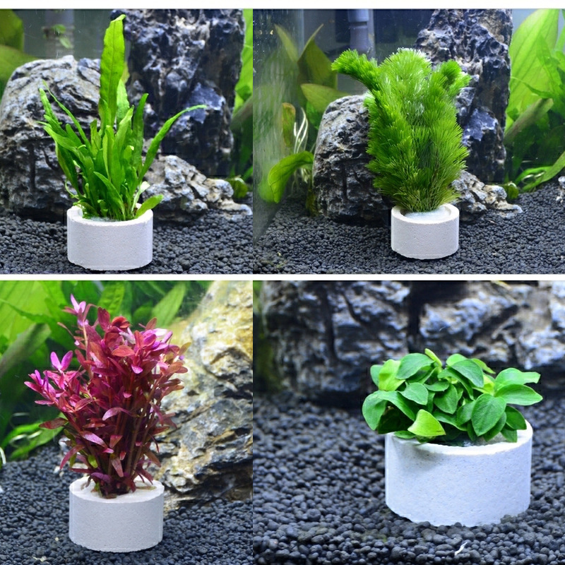 Aquarium Decoration Ceramic Ri - Aquarium Fish Pot ulasan dan harga