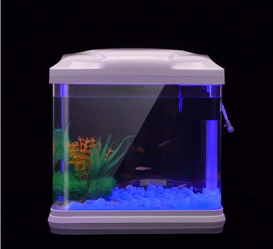 Fish Tank Rocks Glow Blue Pebb - Aquarium Fish Pot ulasan dan harga