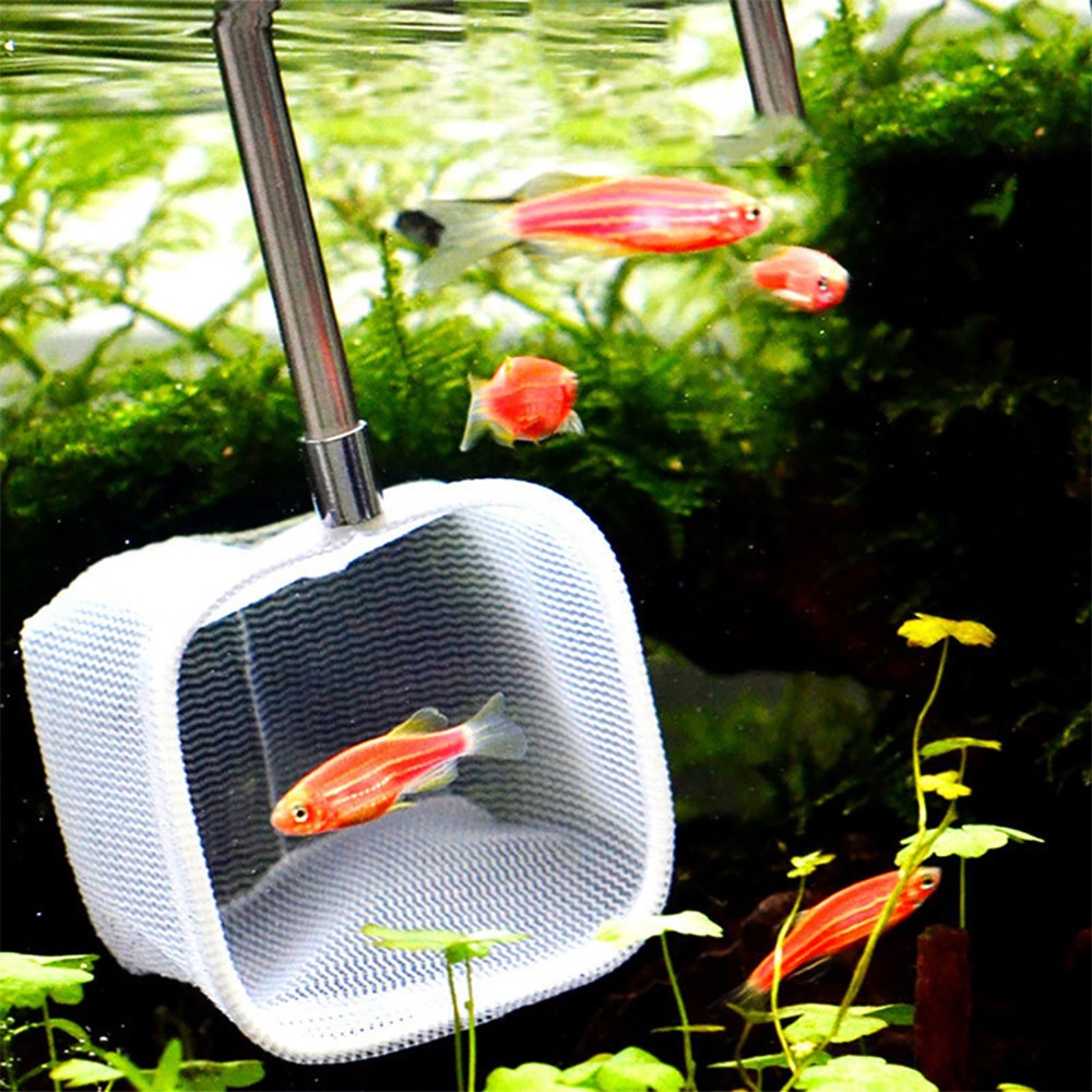 Stainless Steel Handle Extenda - Fish Net Handle ulasan dan harga