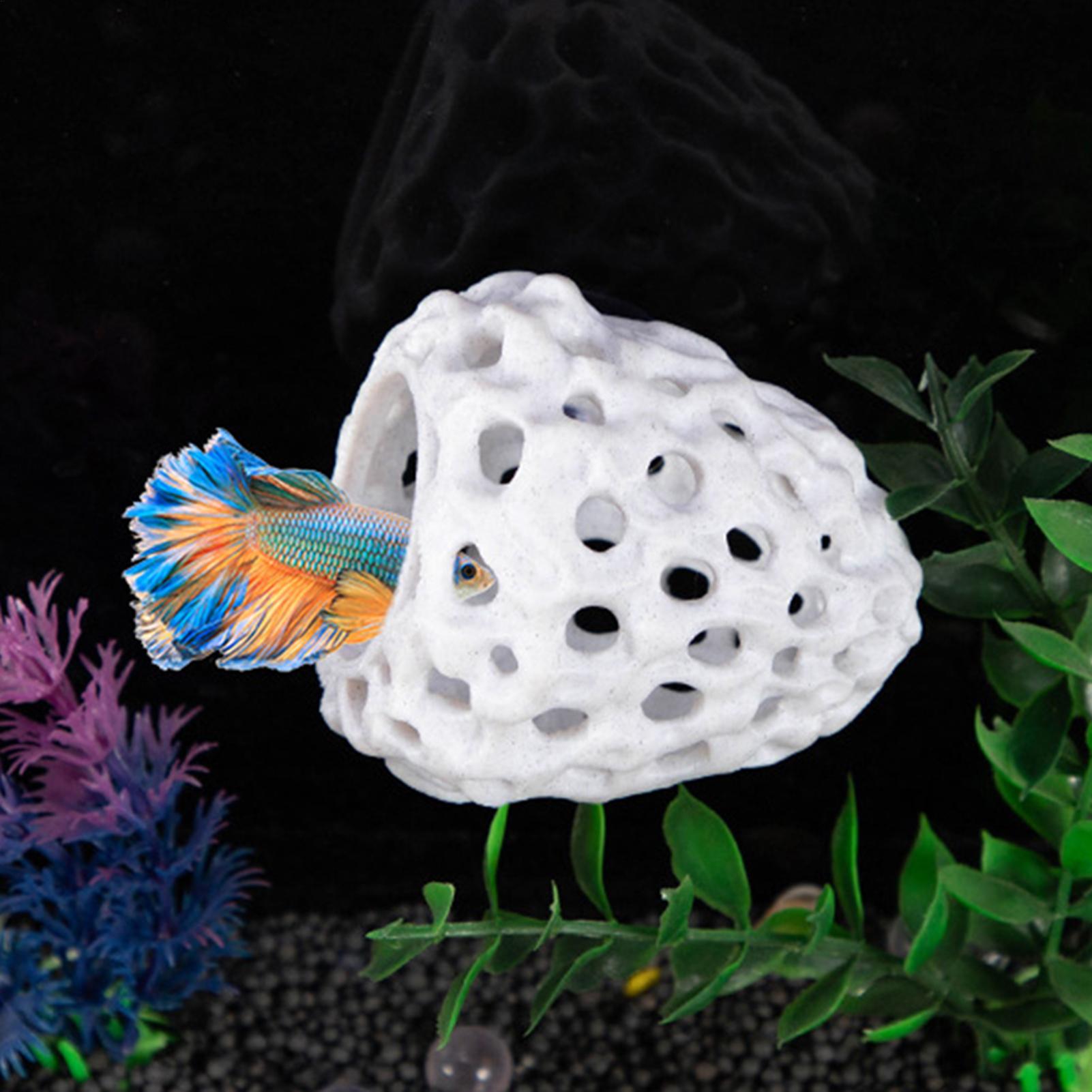 Aquarium shrimp house Cave Min - Aquarium Fish Games ulasan dan harga