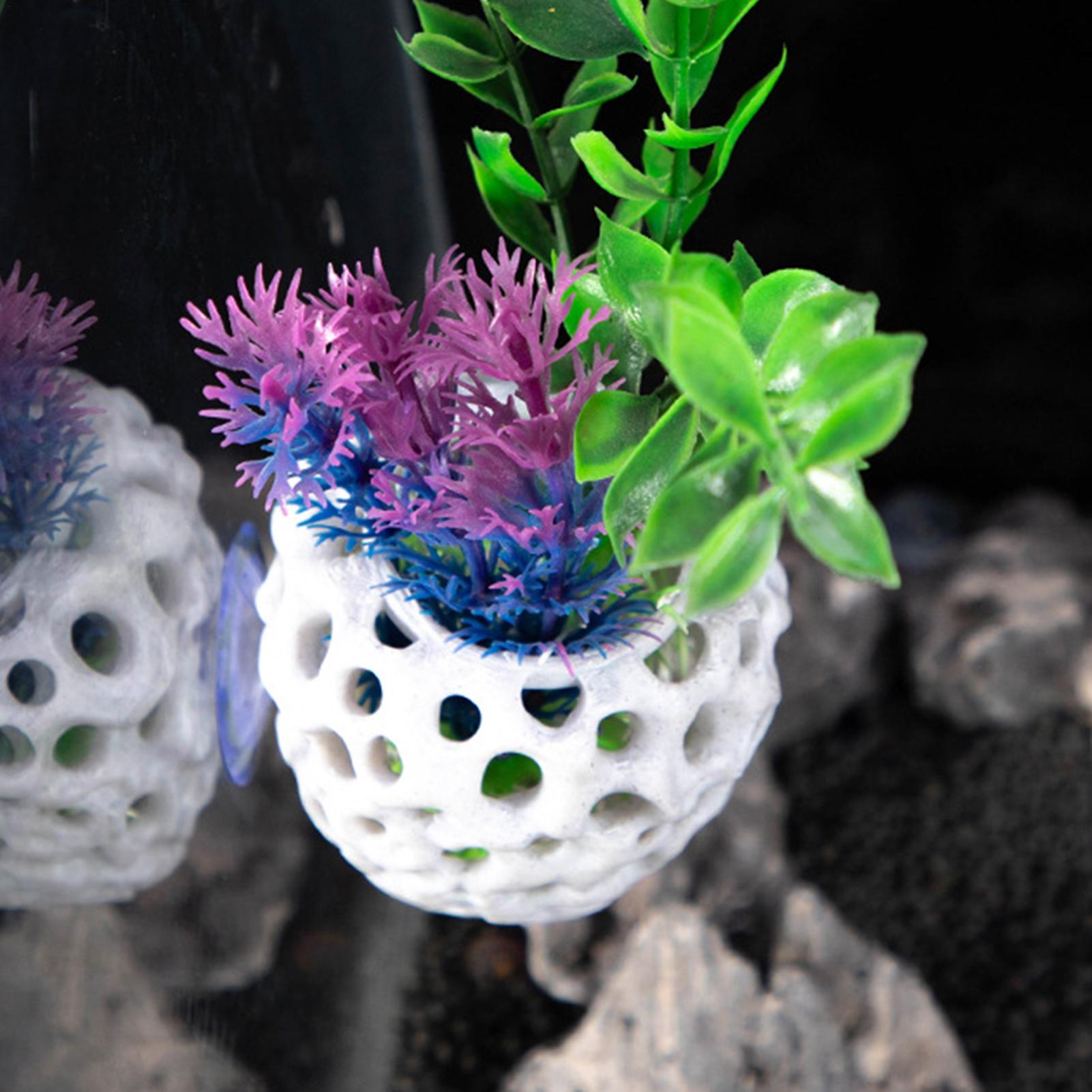 Aquarium shrimp house Cave Min - Aquarium Fish Games ulasan dan harga