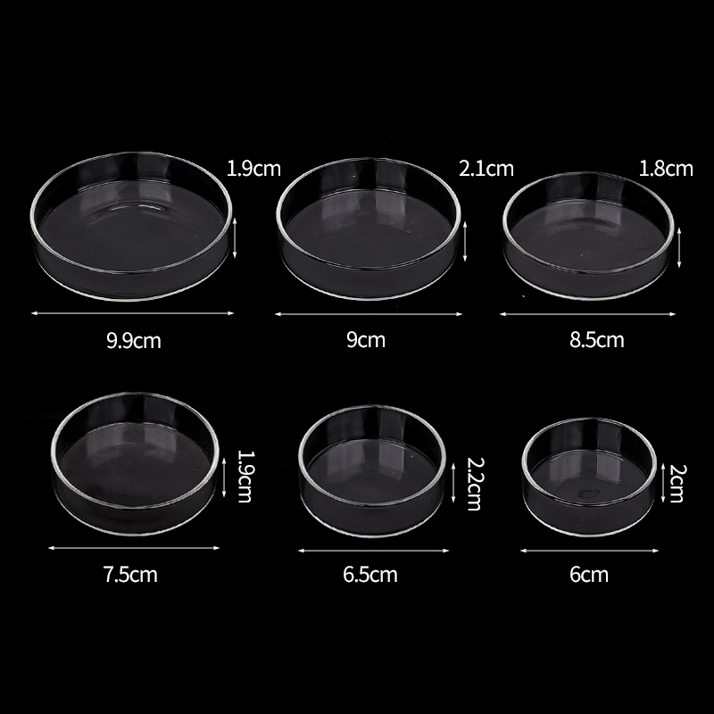 Shrimp Feeding Dish High Trans - Aquarium Fish Food ulasan dan harga