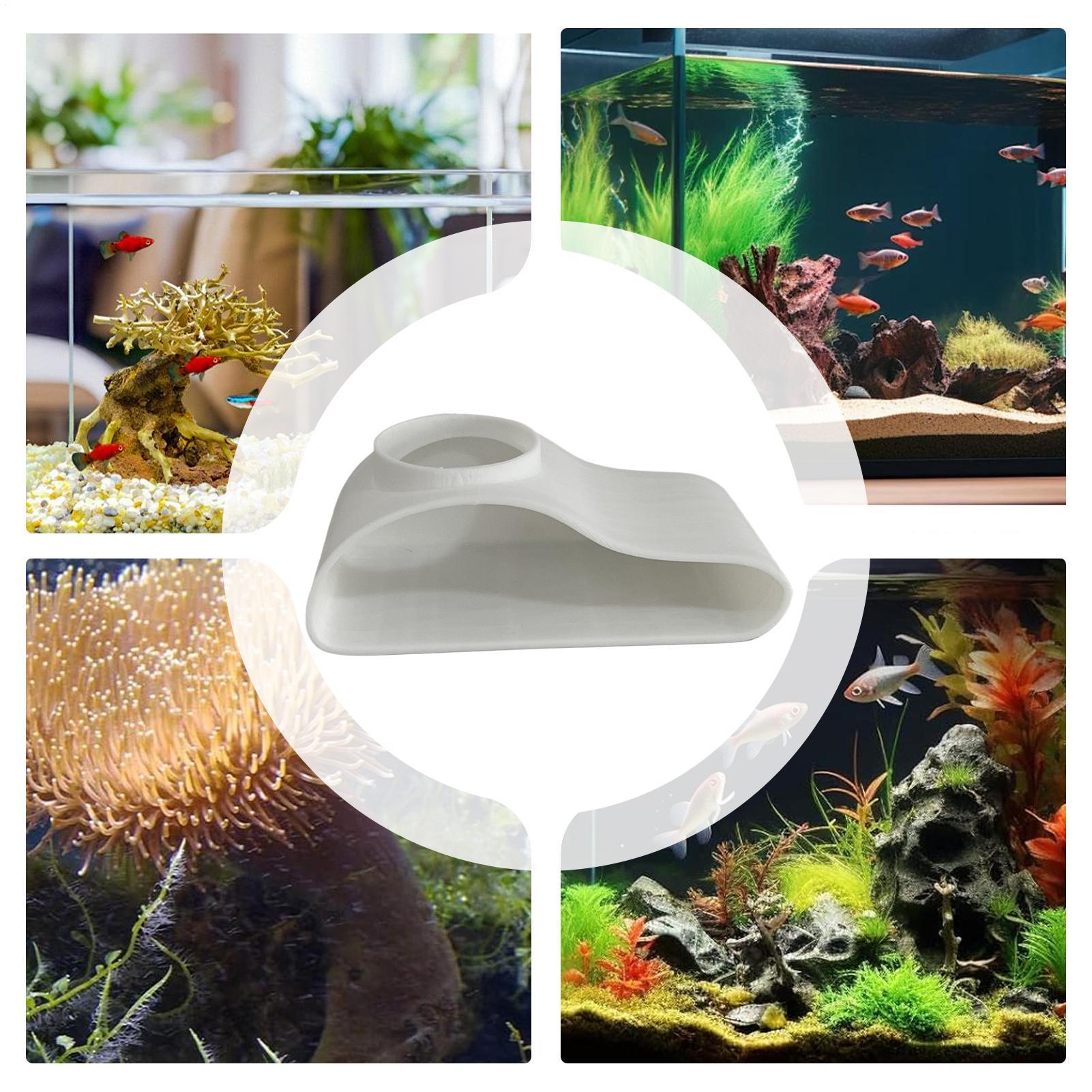 Aquarium Underground Tunnel Ca - Aquarium Fish Restaurant ulasan dan harga