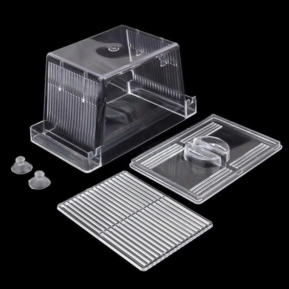 New Acrylic Fish Tank Breeding - Aquarium Fish Reproduction ulasan dan harga