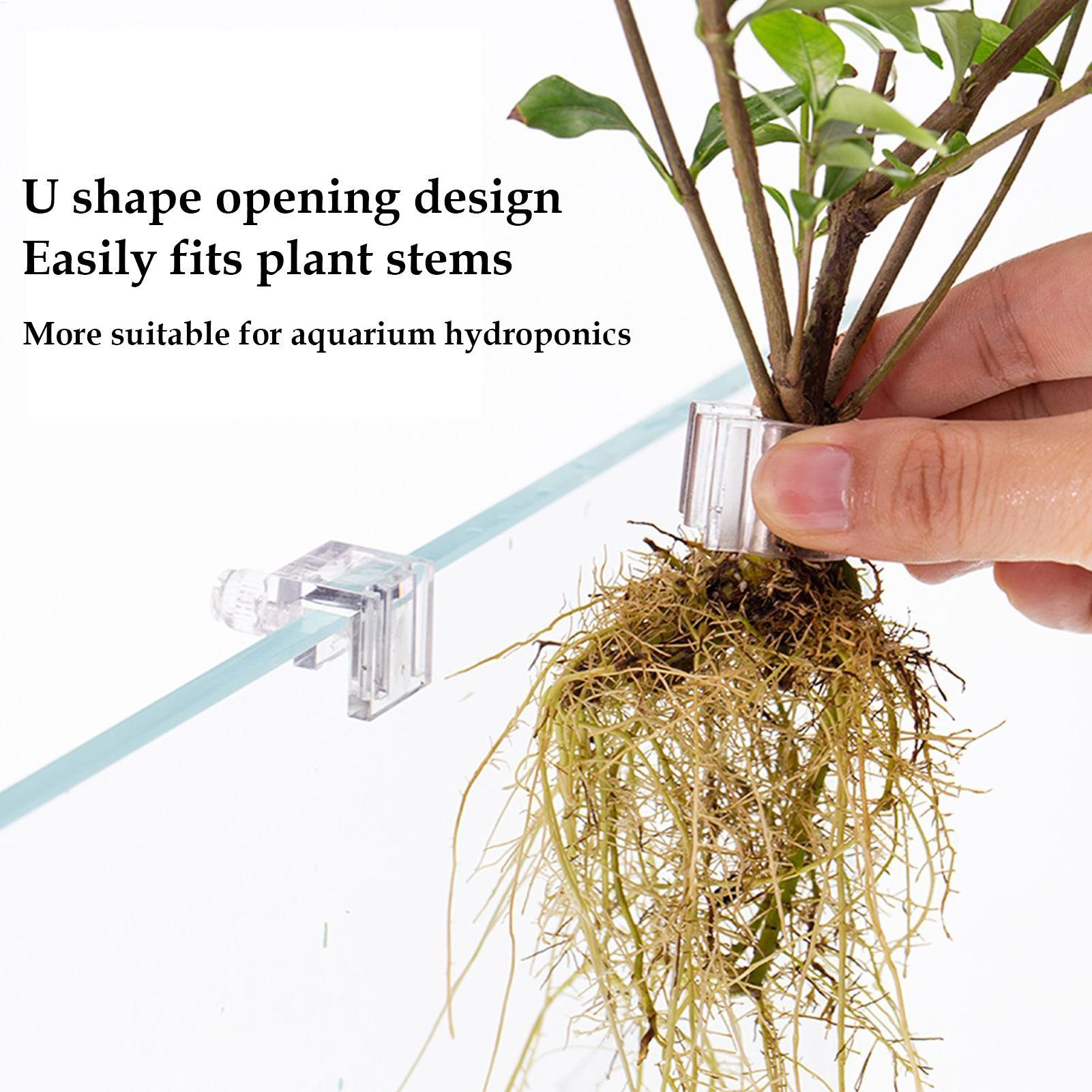Aquarium Plant Basket Transpar - Aquarium Fish Pot ulasan dan harga