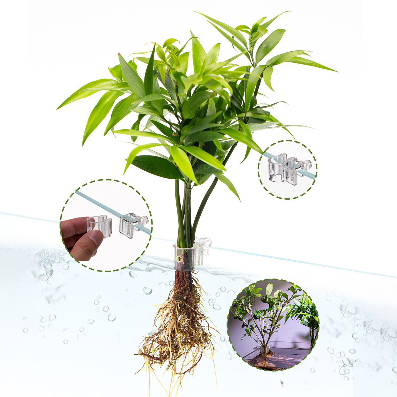 Aquarium Plant Basket Transpar - Aquarium Fish Pot ulasan dan harga