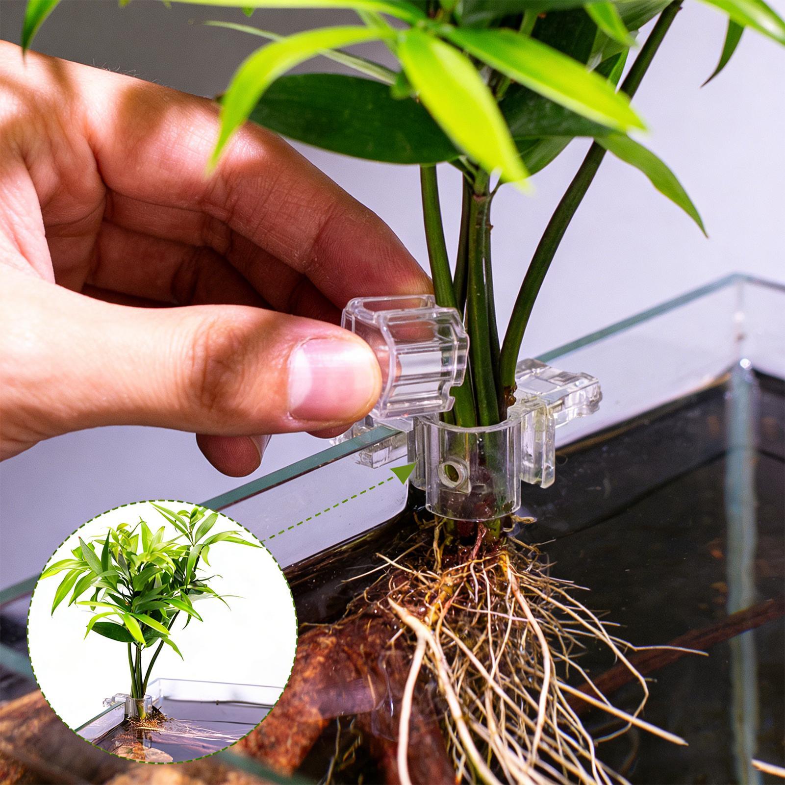 Aquarium Plant Basket Transpar - Aquarium Fish Pot ulasan dan harga