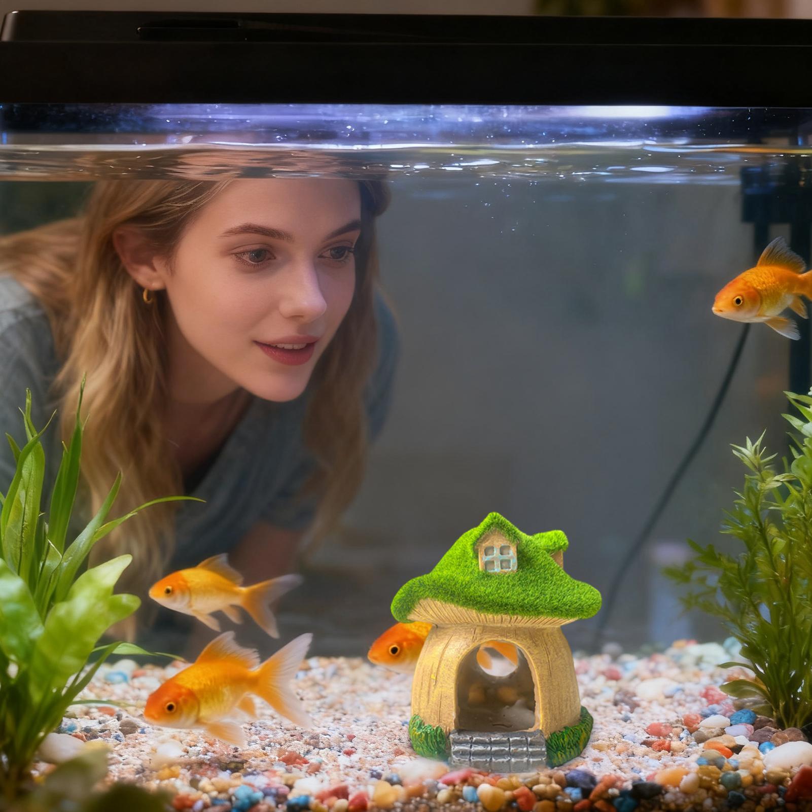 Aquarium Statue Under Water Sc - Aquarium Fish Restaurant ulasan dan harga