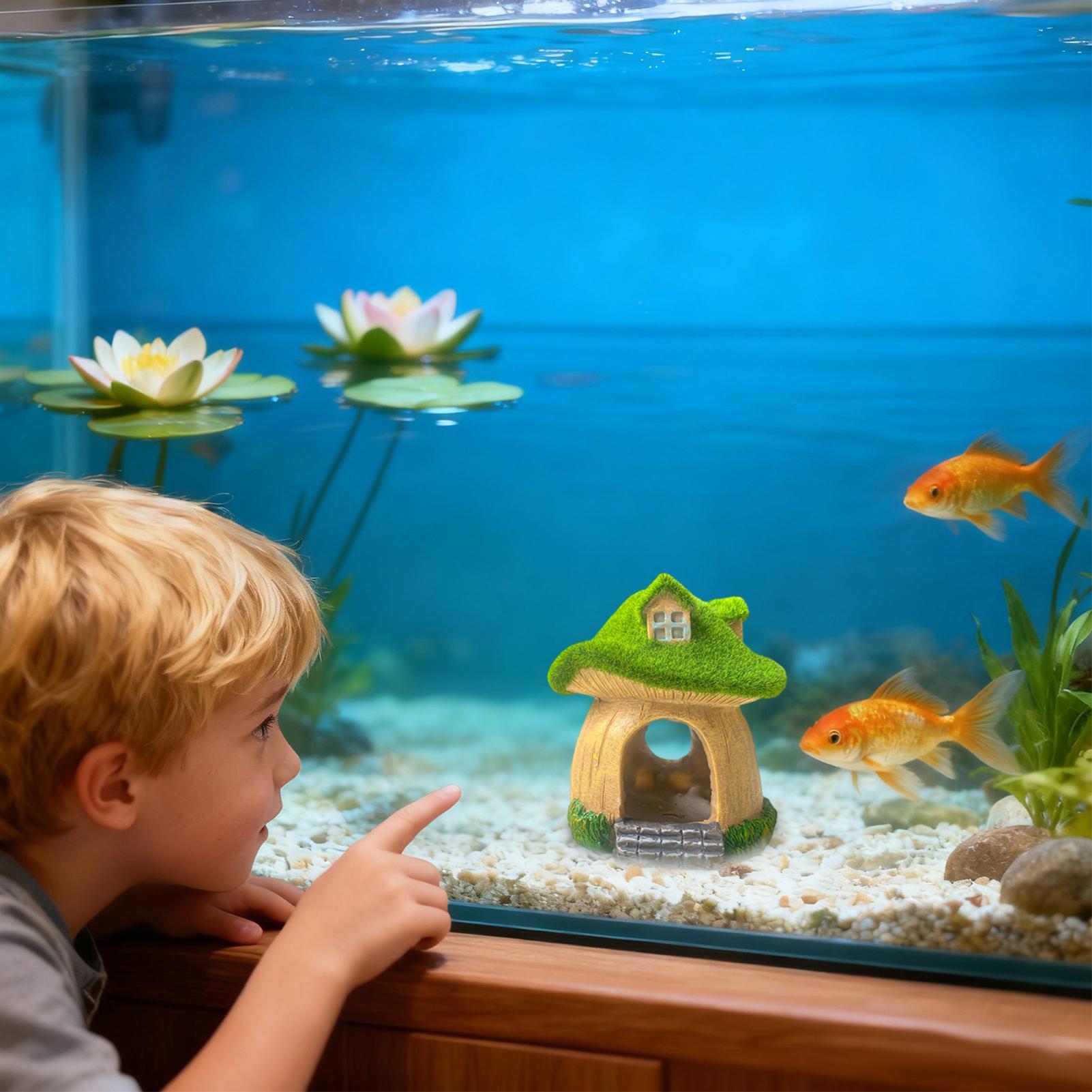 Aquarium Statue Under Water Sc - Aquarium Fish Restaurant ulasan dan harga