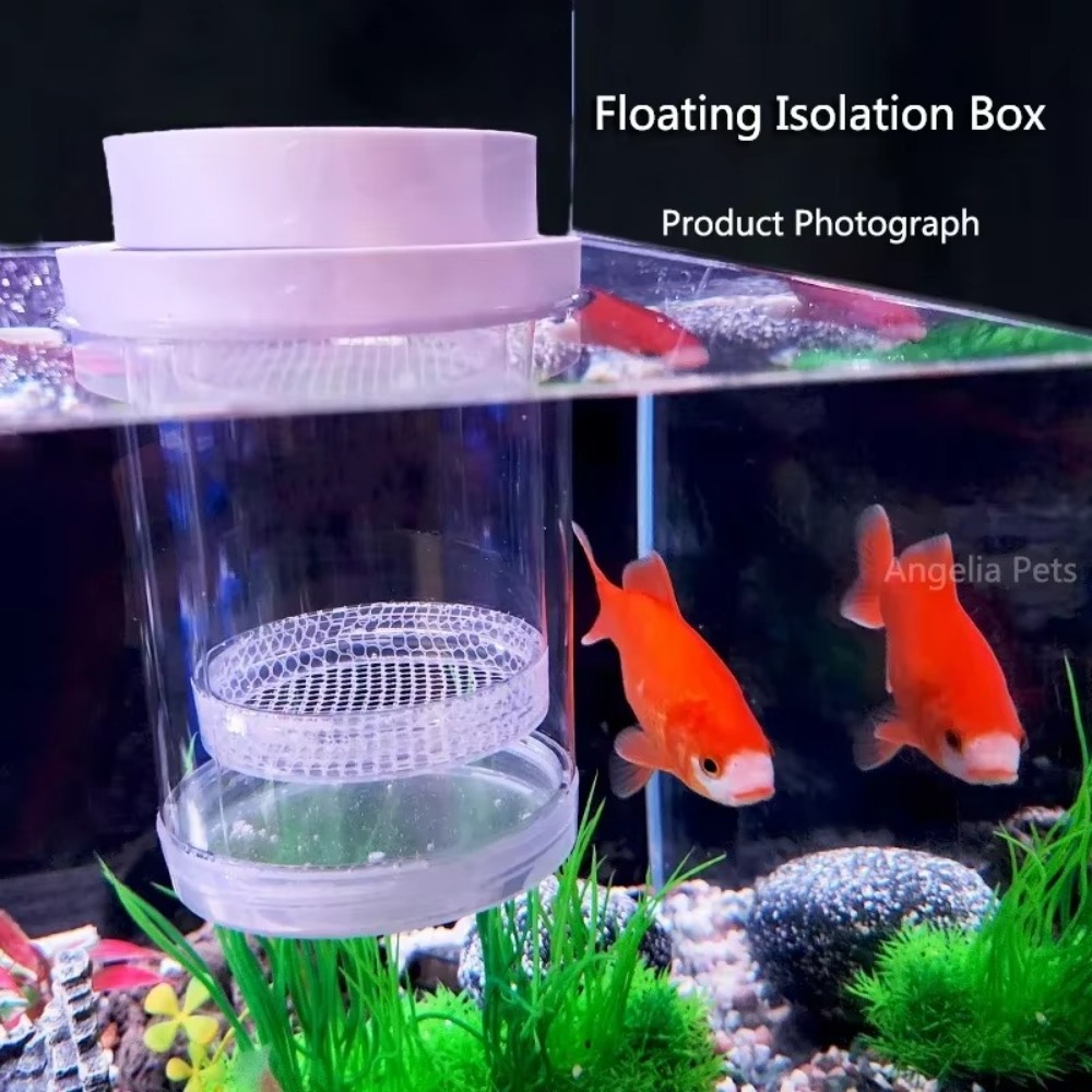 Plastic Floating Fish Breeding - Aquarium Fish Jar ulasan dan harga