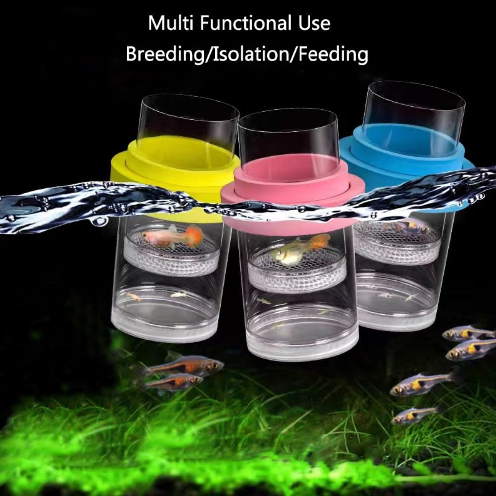 Plastic Floating Fish Breeding - Aquarium Fish Jar ulasan dan harga