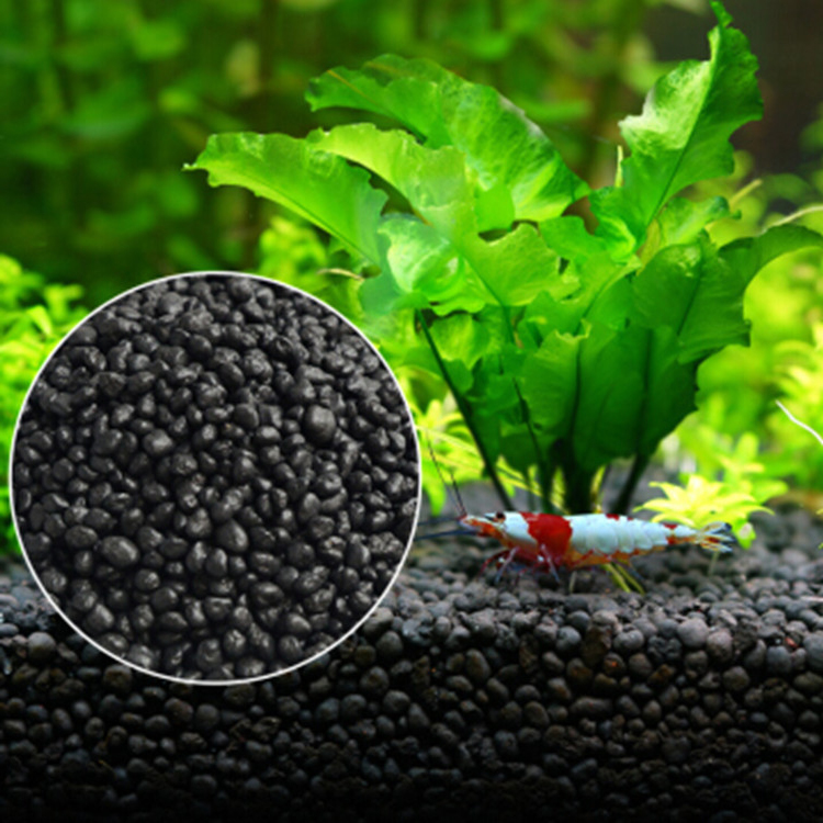Aquarium Plant Seeds Soil Fish - Aquarium Fish Accessories ulasan dan harga
