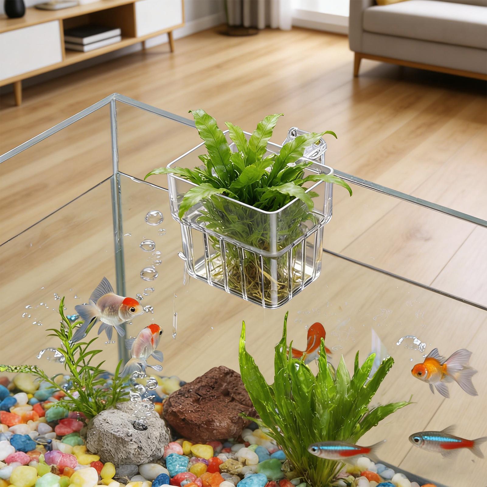 Aquarium Transparent Hanger Po - Aquarium Fish Pot ulasan dan harga