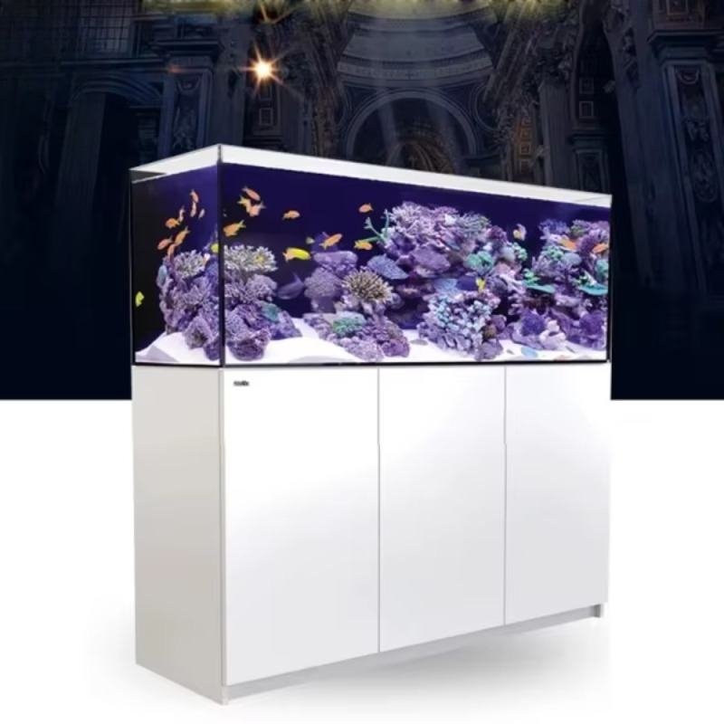 Modern luxury glass refrigerat - Aquarium Fish Restaurant ulasan dan harga