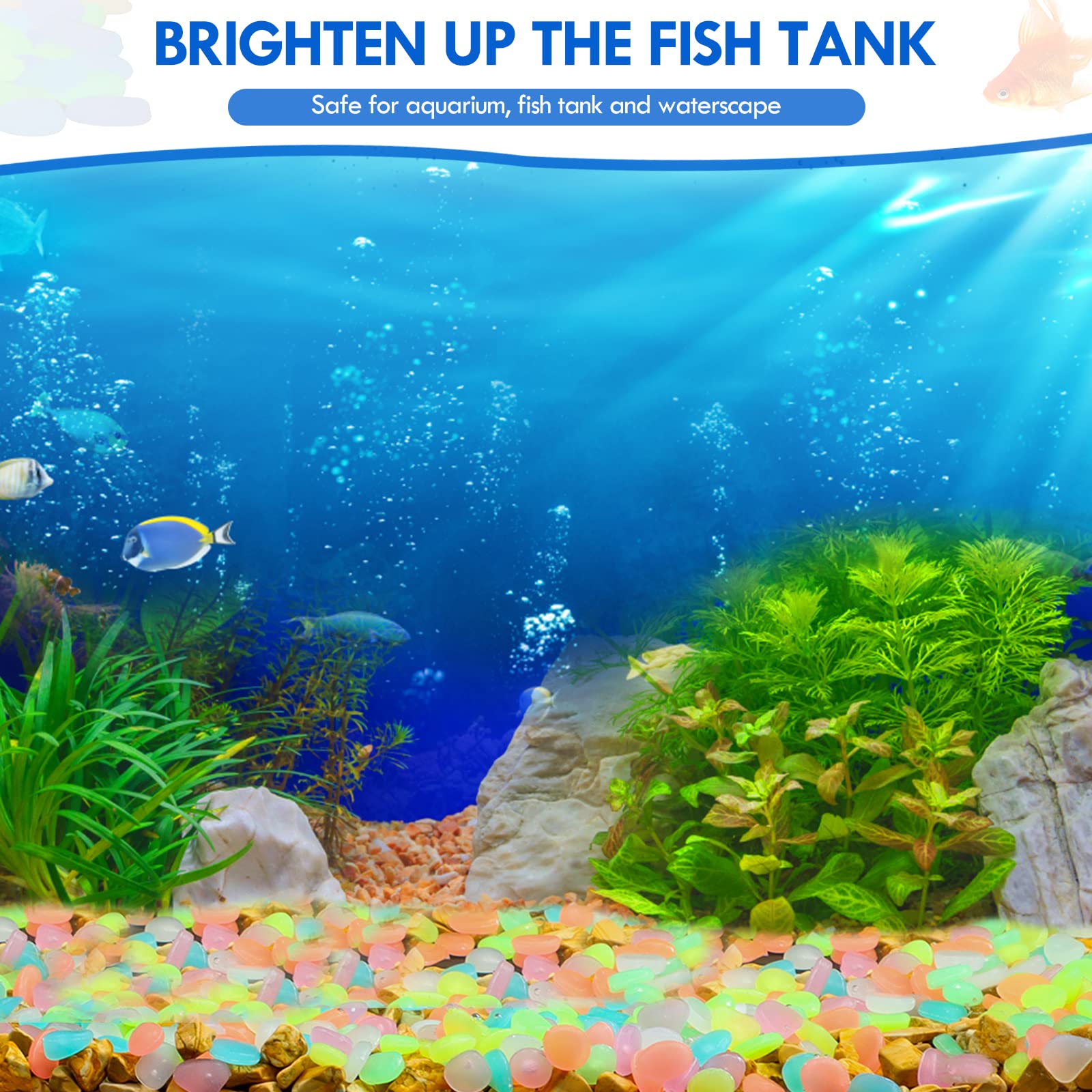 100Pcs Glow in the Dark Garden - Aquarium Fishing ulasan dan harga