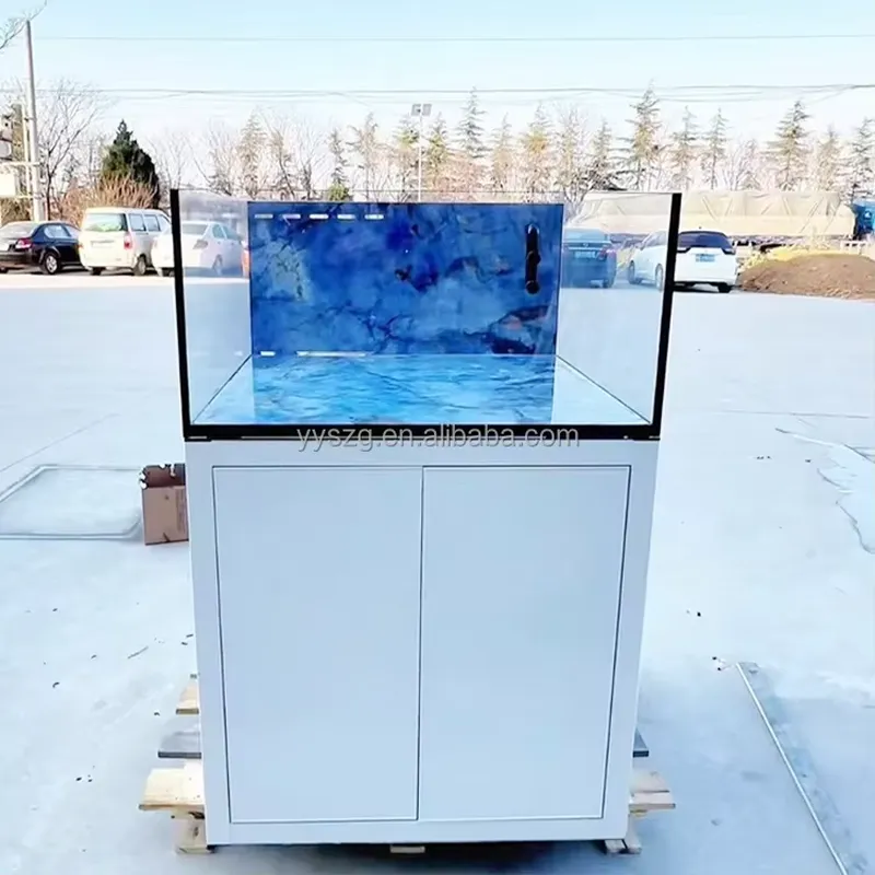 2.6Ft Square Rectangle Glass A - Aquarium Fish Restaurant ulasan dan harga