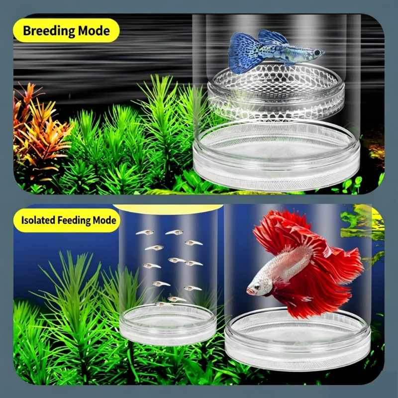 Transparent Floating Aquarium  - Aquarium Fish Jar ulasan dan harga