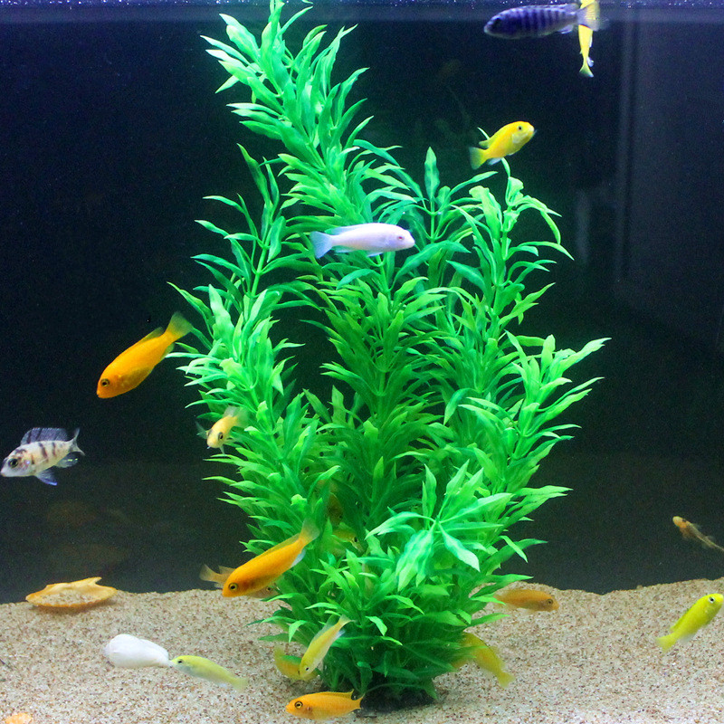 50CM Artificial Fish Tank Rare - Aquarium Fishing ulasan dan harga