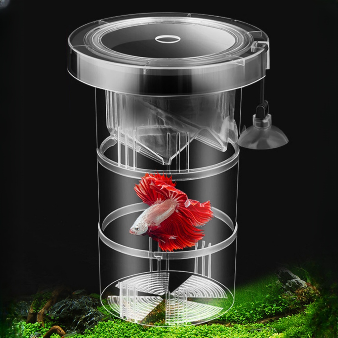 Acrylic Floating Fish Breeding - Aquarium Fish Jar ulasan dan harga