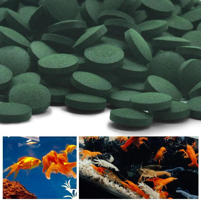 100-1500Pcs High-Purity Spirul - Aquarium Fish Food ulasan dan harga