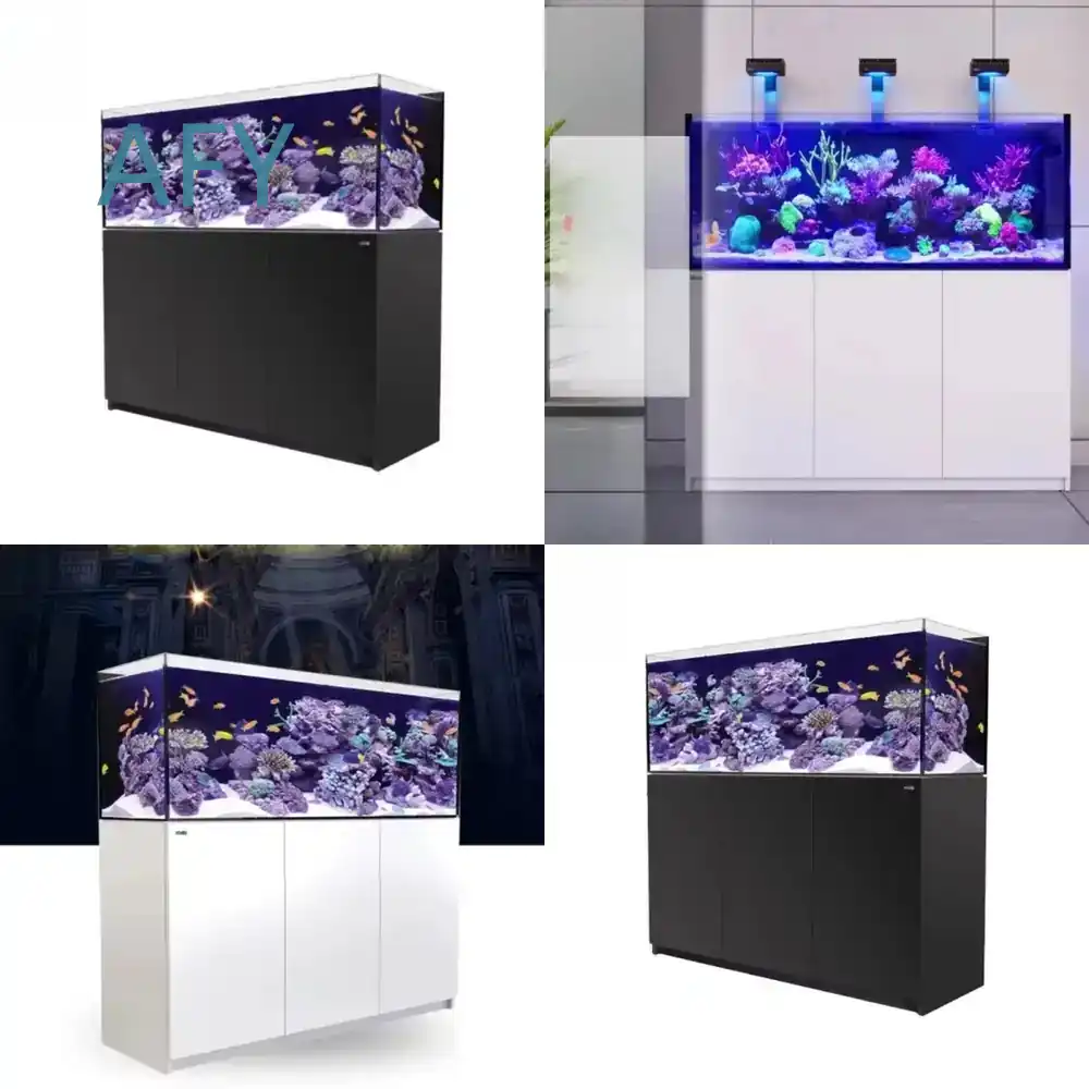 Modern Luxury Glass Refrigerat - Aquarium Fish Restaurant ulasan dan harga
