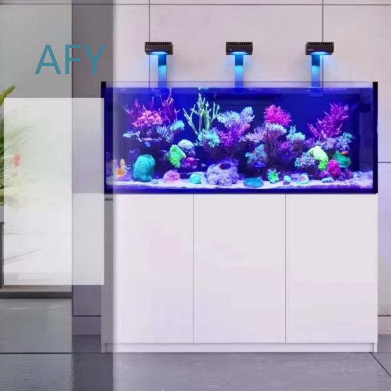 Modern Luxury Glass Refrigerat - Aquarium Fish Restaurant ulasan dan harga