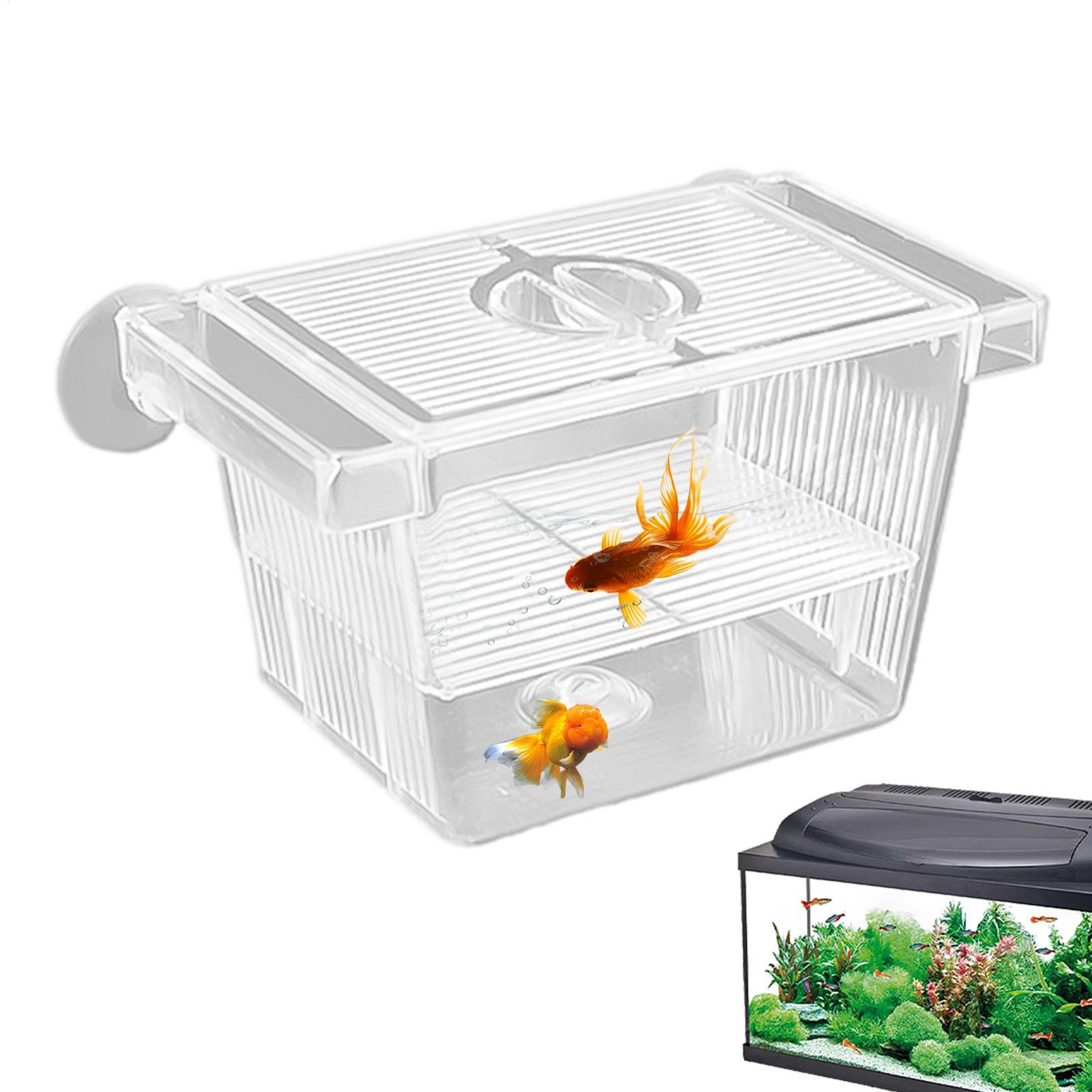 Aquarium Hatchery Acrylic Isol - Aquarium Fish Jar ulasan dan harga