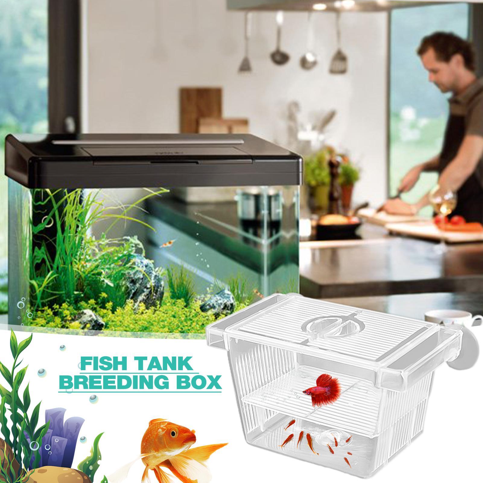 Aquarium Hatchery Acrylic Isol - Aquarium Fish Jar ulasan dan harga