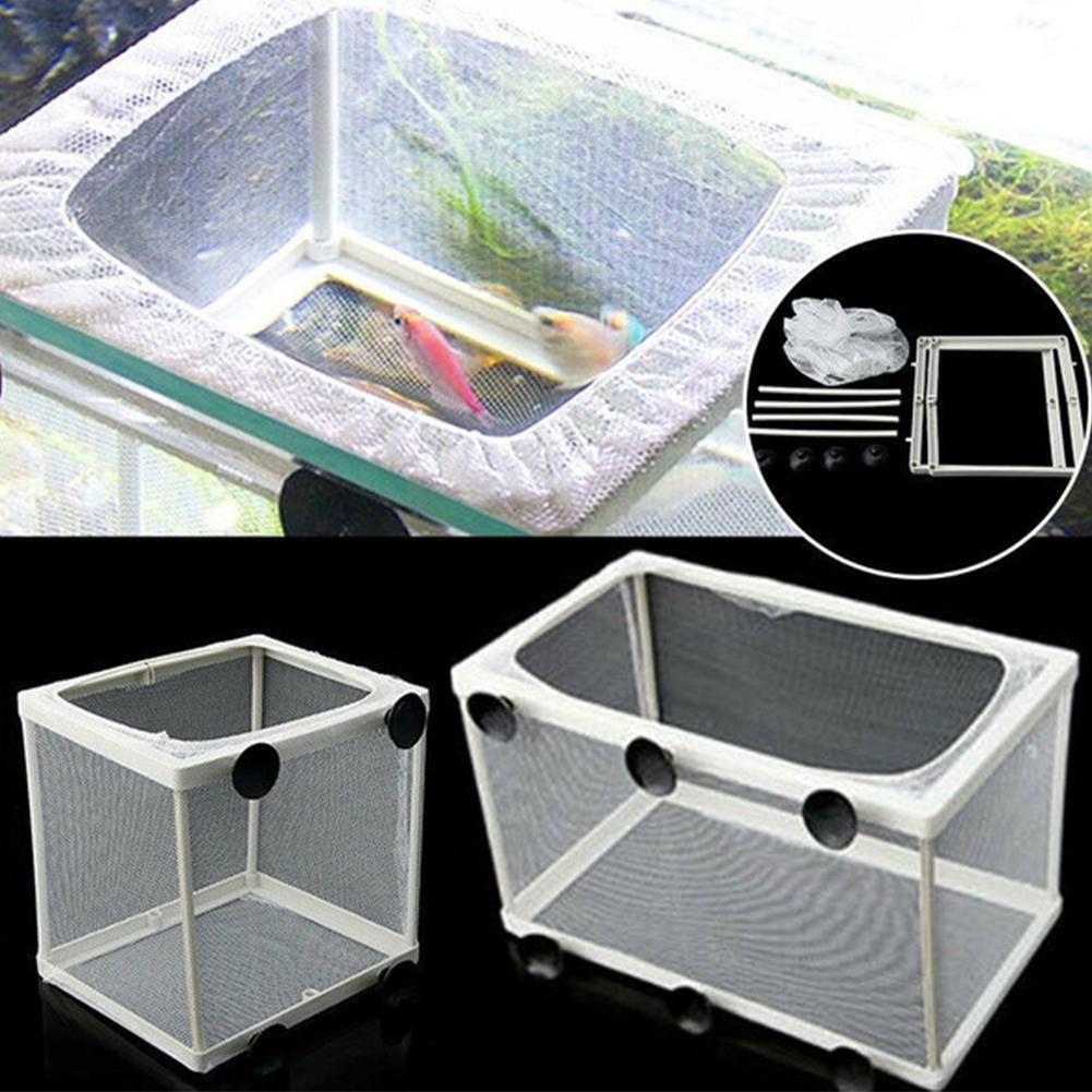 Hatchery Isolation Box for Aqu - Aquarium Fish Jar ulasan dan harga