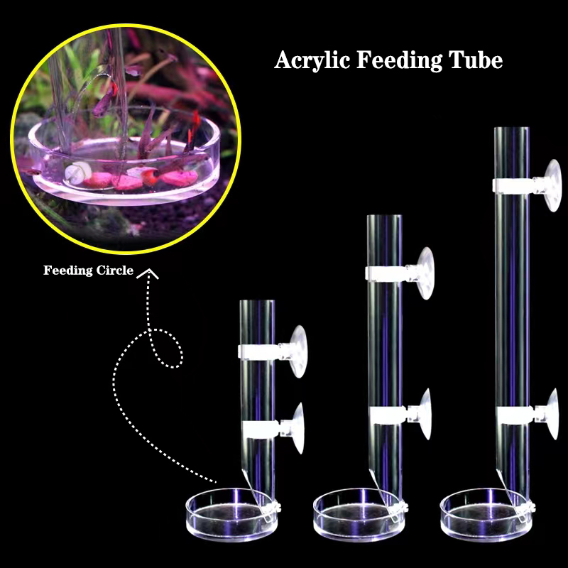 1Pcs Acrylic Aquarium Feeder T - Aquarium Fish Food ulasan dan harga