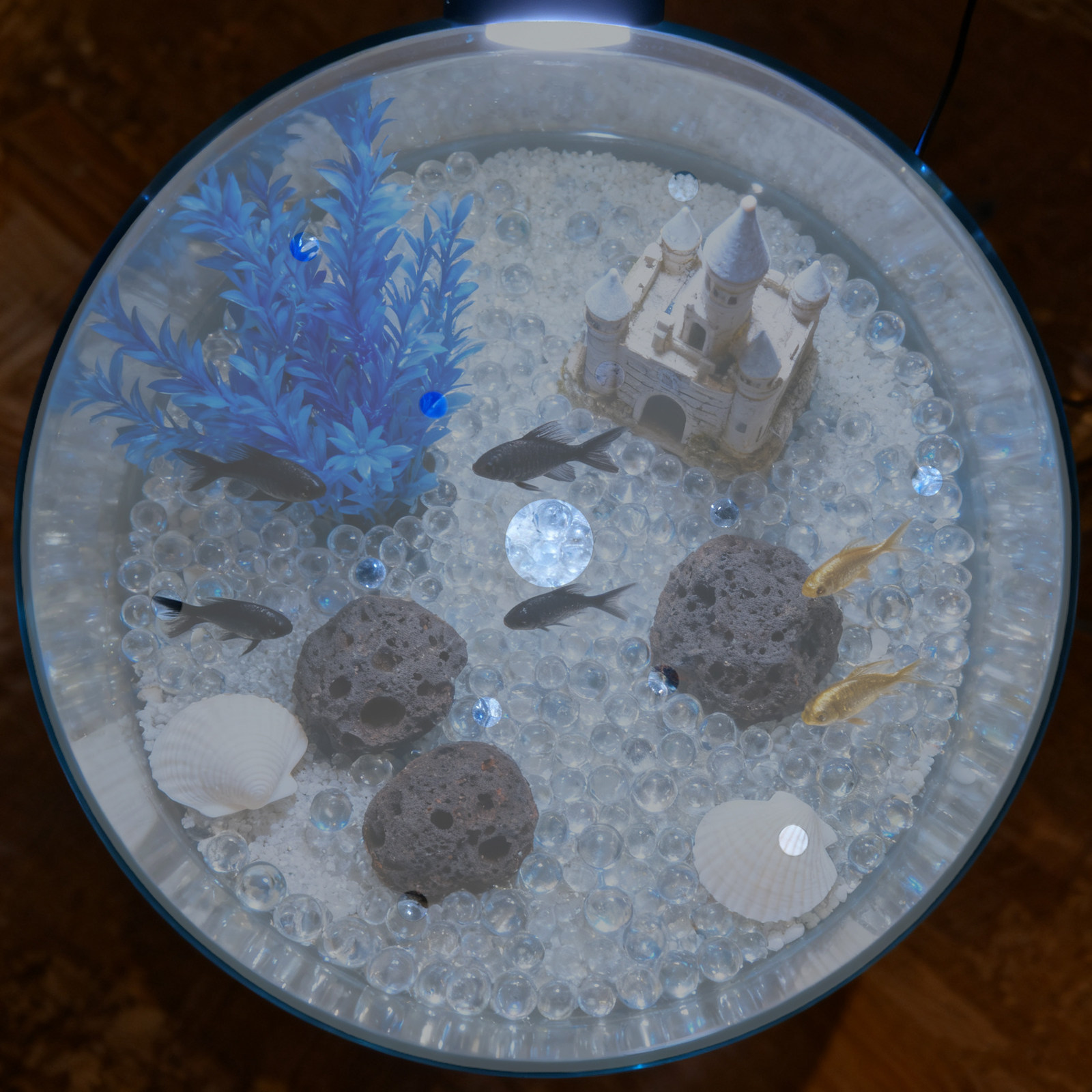 7 Inch Round Acrylic Fish Tank - Aquarium Fish Jar ulasan dan harga